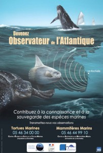 zoomnature, écoloisirs, observateurs de l'Atlantique