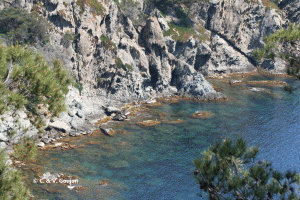 ZoomNature, écoloisirs, Porquerolles, parc national