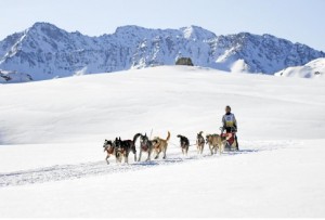 la Grande Odyssée, chiens de traîneau, sports durables