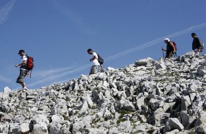 course écologique et solidaire, Pandathlon, WWF